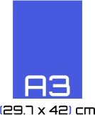 A3